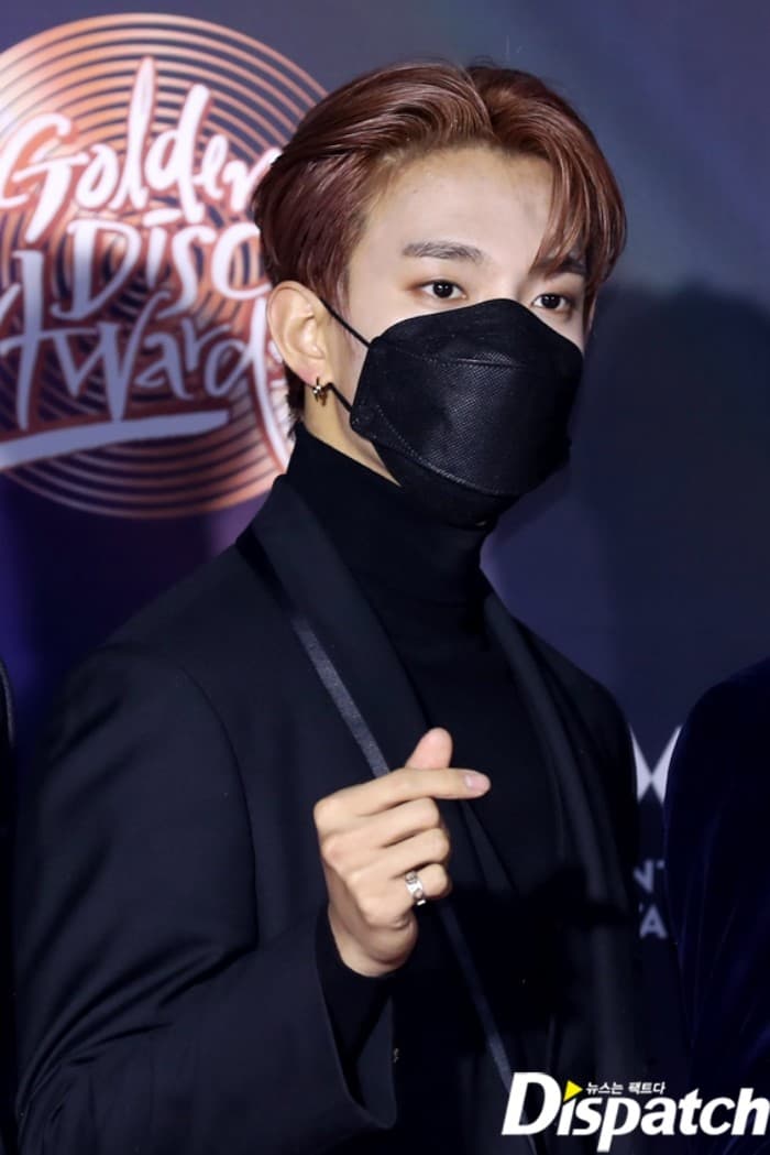 DINO, Dokyeom, Hoshi, Jeonghan, Joshua, Jun, Mingyu, S.coups, Seungkwan, THE 8, Vernon, Wonwoo, Woozi photo 3